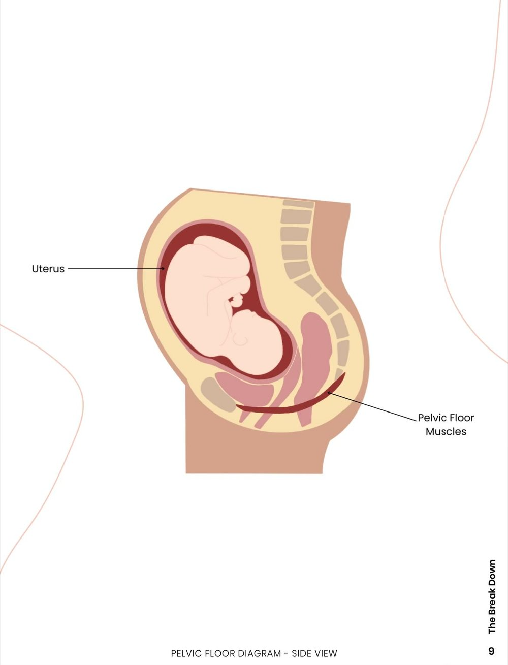 The First 6 Weeks - Rest and Recovery